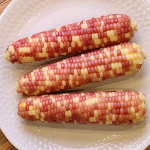 갓 삶은 냉동 쫀득 홍 찰옥수수
