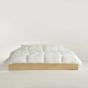 Royal Goose Standard