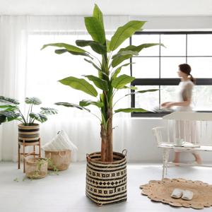 고급 조화 대형 바나나 야자 나무 관상목 인조목 조화