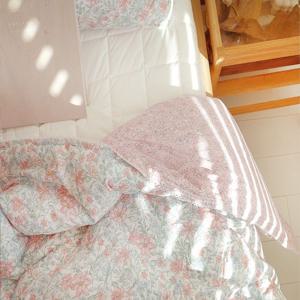 SS/Q 먼지없는 차렵이불 프리미엄 부드러운 모달100% 사계절이불 모달 달리아2color