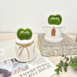 더블하트호야 하트선인장 두촉 호야케리 미니 다육이 공기정화식물 - 침실 공부방 미니화분