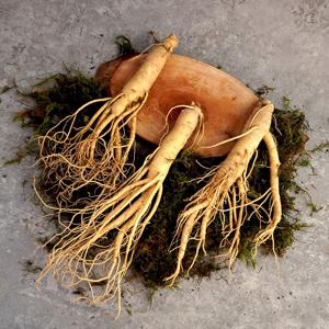 풍기인삼 6년근 수삼 (중삼계) 500g 벌크