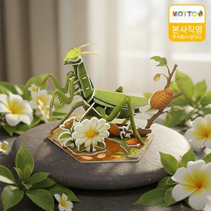 모또 육각 곤충 사마귀 만들기 3d입체퍼즐