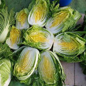 국내산 통배추 김장용 배추 생배추 1통-4통