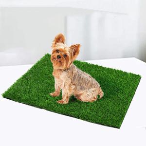 강아지 야외배변 훈련 인조잔디 패드
