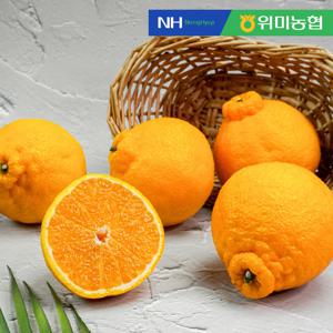 제주위미농협 제주직송 한라봉 선물세트 3kg (6-15입 내외)