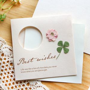 DIY 엽서 드라이플라워 안개꽃 압화 책갈피 말린꽃 데코 세트