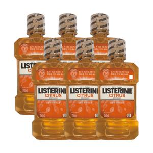 존슨앤존슨 리스테린 시트러스 250ml x 6개