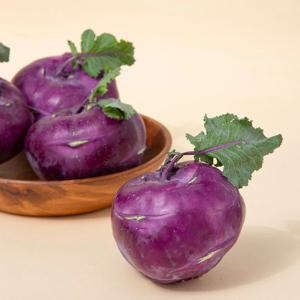 제주직송 아삭달콤 콜라비 10kg (14-20입)