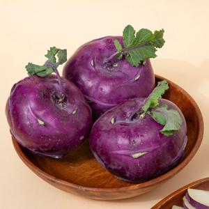 제주직송 아삭달콤 콜라비 5kg (7-10입)