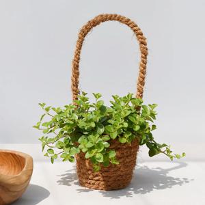 신홀리페페 행잉바구니