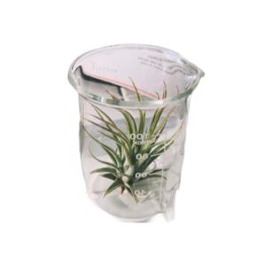 수제 비누 계량 투명 유리비커 DIY 만들기용비커 만들기 도구 비이커