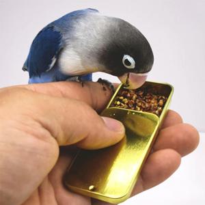 앵무새집 새장 밥 사료 도시락통 상자 피더 음수기 애완 포켓