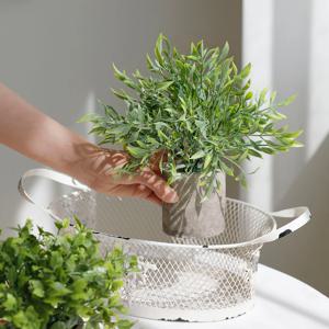 홈카페 인테리어 생화같은 로즈마리 허브 다육이 테이블 미니 인조 조화 꽃 화분 펀고사리