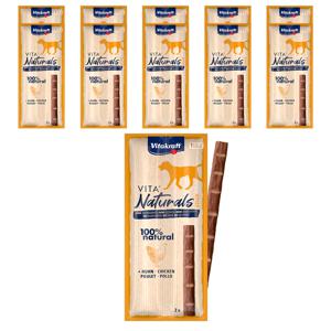 [유통기한26년3월22일]강아지 간식 내츄럴 도그스틱 치킨 22g x 10개