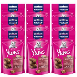 촉촉한 캣얌 리버소세지 40g X 9개