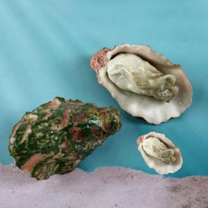 음식 진열 전시용 굴모형 미니어처 매장 데코 모형 석화 모형 1p