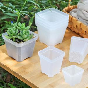 투명 슬릿분 분갈이 사각 플분 투명 플라스틱 슬릿화분