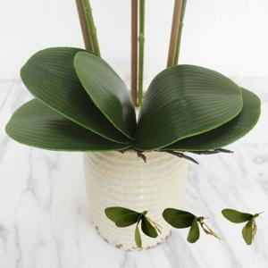 실내 자연스러운 인테리어 화분 꽃 연출 EVA 호접란 잎새 조화 난