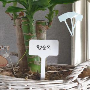 플라스틱 식물 이름표 네임택 화이트 화분 팻말 가든픽 수목표찰