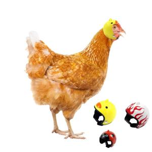 애완닭 사진촬영 조류 동물 비 보호 머리보호 귀여운 치킨 헬멧