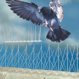 베란다 실외기 비둘기 조류 퇴치기 야외 설치 버드 와이어