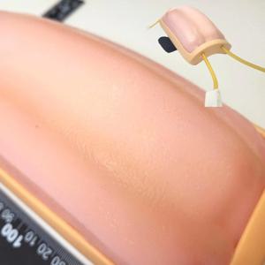 간호사 팔 주사 연습 인공피부 링겔 정맥주사 실습용 팔모형 고급