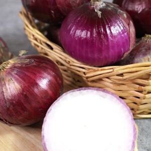 무안 자색양파 10kg (중대혼합)