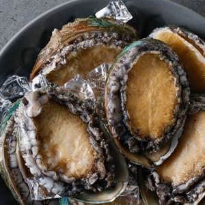 산지직송 완도 활전복 대사이즈 1kg 9-10미 당일조업 선물포장