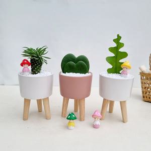 하트호야 괴마옥 생선뼈선인장 - 모던 스탠드팟 - 집들이 생일 인테리어 공기정화식물