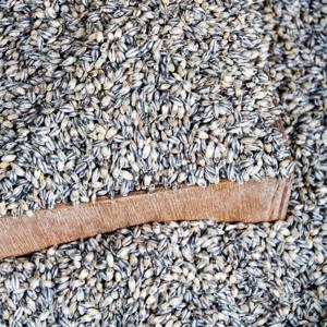 국산 검정보리쌀 500g*2봉