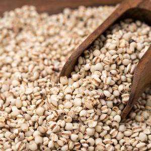 국산 율무 500g*2봉