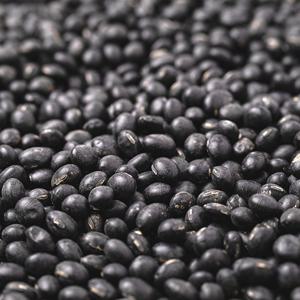 국산 서리태 1kg