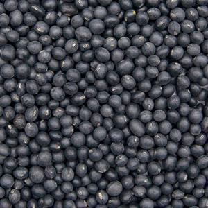 국산 서목태 약콩 1kg l 쥐눈이콩