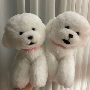 무릎인형_강아지 비숑프리제 S