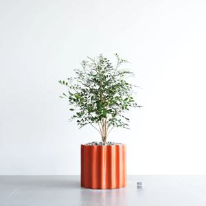 오렌지자스민 오렌지 도리아 화분 인테리어 거실화분 꽃피는식물