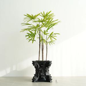 서황금 블랙 코린트 고급화분 무늬 관음죽 공기정화식물