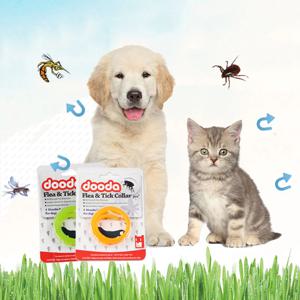 강아지 고양이 천연 에센셜오일 진드기퇴치제 해충방지 모기퇴치 목걸이