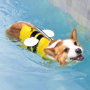 강아지 구명조끼 물놀이 수영장 턱받침 수영복 래쉬가드