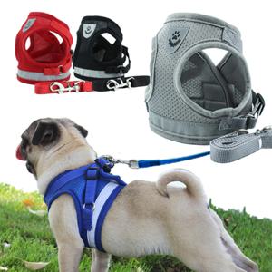 균일가 강아지 산책 빛반사 에어메쉬 하네스 리드줄세트