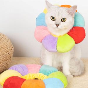 강아지 고양이 쿠션 넥카라 깔대기 목보호대