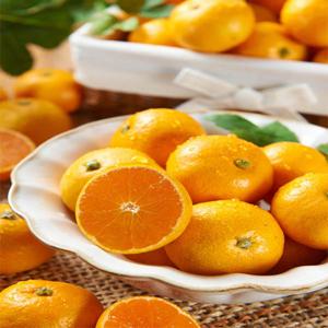 새콤달콤 제주 하우스 감귤 2.5kg