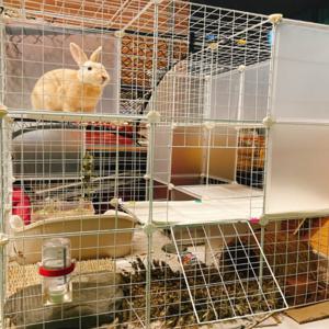 토끼 집 하우스 케이지 사육장 DIY 울타리