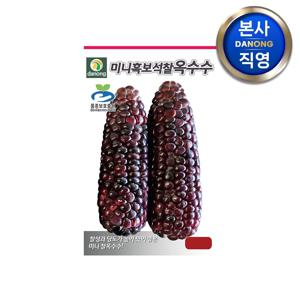 미니 흑보석 찰옥수수 씨앗 2500립 . 중생종 홍색 작은 찰진 옥수수 씨 종자.