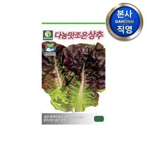 다농 맛조은 상추 씨앗 1g . 야채 쌈 채소 키우기 텃밭 씨 종자.