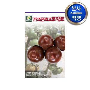 TY조은초코 토마토 씨앗 10립 . 흑색 원형 중과종 씨 종자 주말 농장 텃밭.