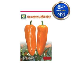 다농 오렌지 미니 파프리카 씨앗 10립 . 작은 주황색 채소 씨 종자.
