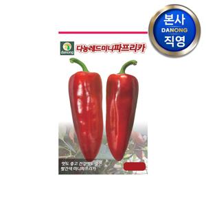 다농 레드 미니 파프리카 씨앗 10립 . 작은 빨간색 채소 씨 종자.