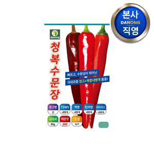 청복 수문장 고추 씨앗 50립 . 극대과종 조생종 매운맛 내병계 씨 과채류 종자.