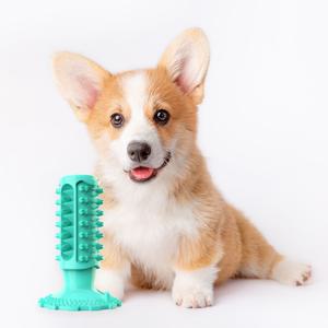 강아지 실리콘 삑삑이 이갈이 장난감